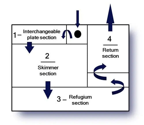 Trigger Systems Sapphire Cube 20