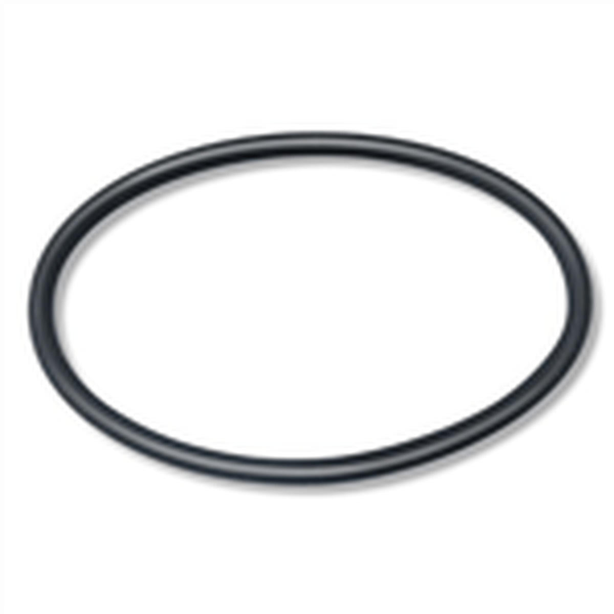 Two Little Fishies PhosBan Reactor 550 Replacement O-Ring Two Little Fishies