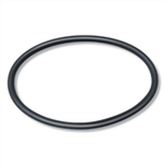 Two Little Fishies PhosBan Reactor 550 Replacement O-Ring Two Little Fishies
