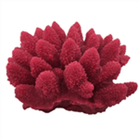 Weco Acorapora Humilis Rose - Small Weco
