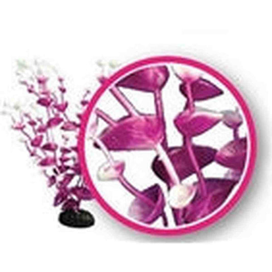 Weco Magenta Tulips 12" Dream Series Wonder Plants Weco