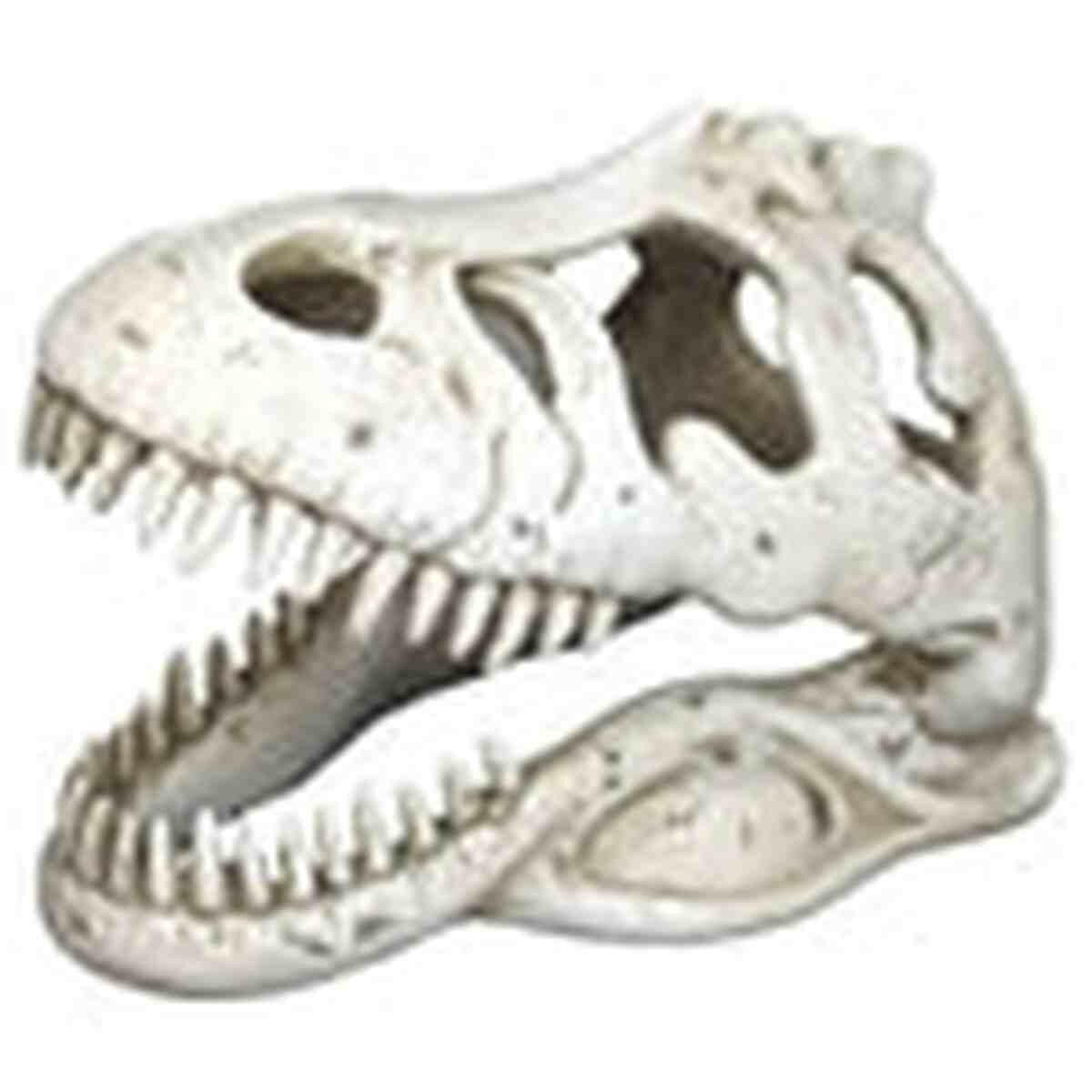 Weco Ornament T-REX Skull Weco