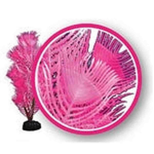 Weco Pink Princess Feather 12" Dream Series Wonder Plants Weco