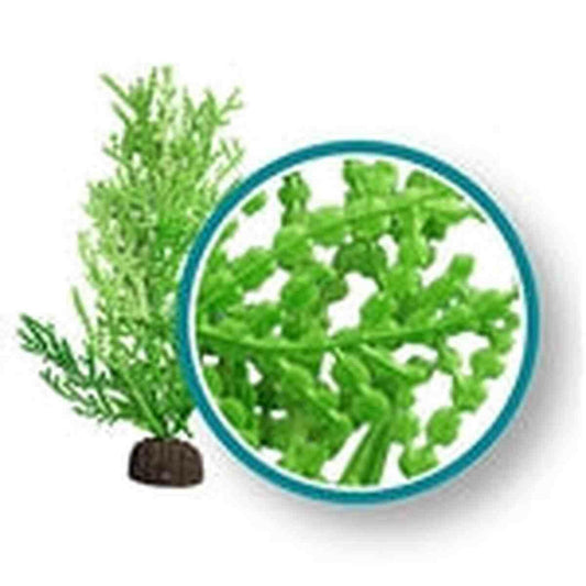 Weco Plant Giant Halimeda 9" Weco