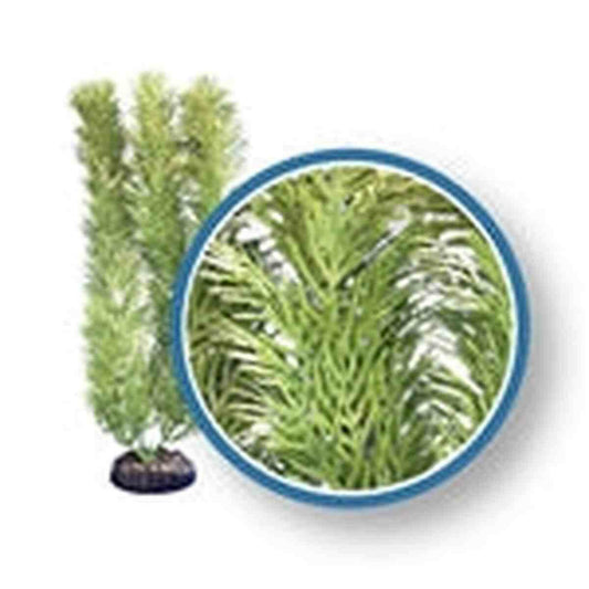 Weco Plant Green Cabomba 9" Weco