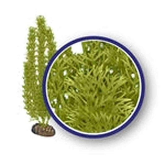 Weco Plant Green Foxtail 9" Weco