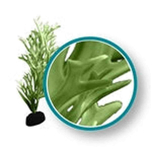 Weco Plant Green Giant Kelp 12" Weco