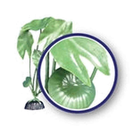 Weco Plant Green Tiger Lotus 9" Weco