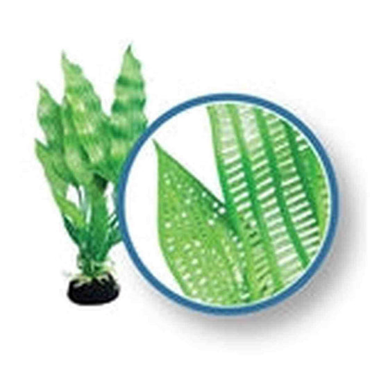 Weco Plant Madagascar Lace 9" Weco