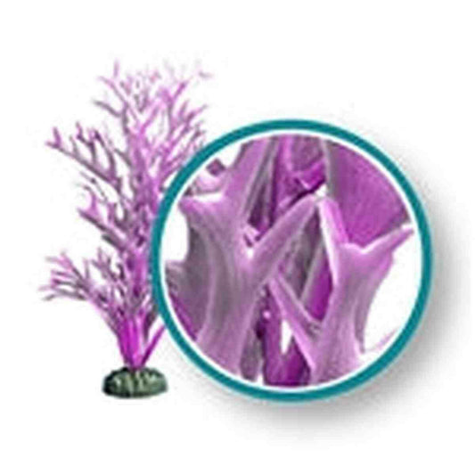 Weco Plant Purple Giant Kelp 18" Weco