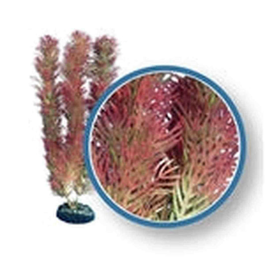 Weco Plant Red Cabomba 9" Weco
