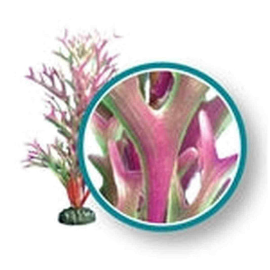 Weco Plant Red Giant Kelp 18" Weco