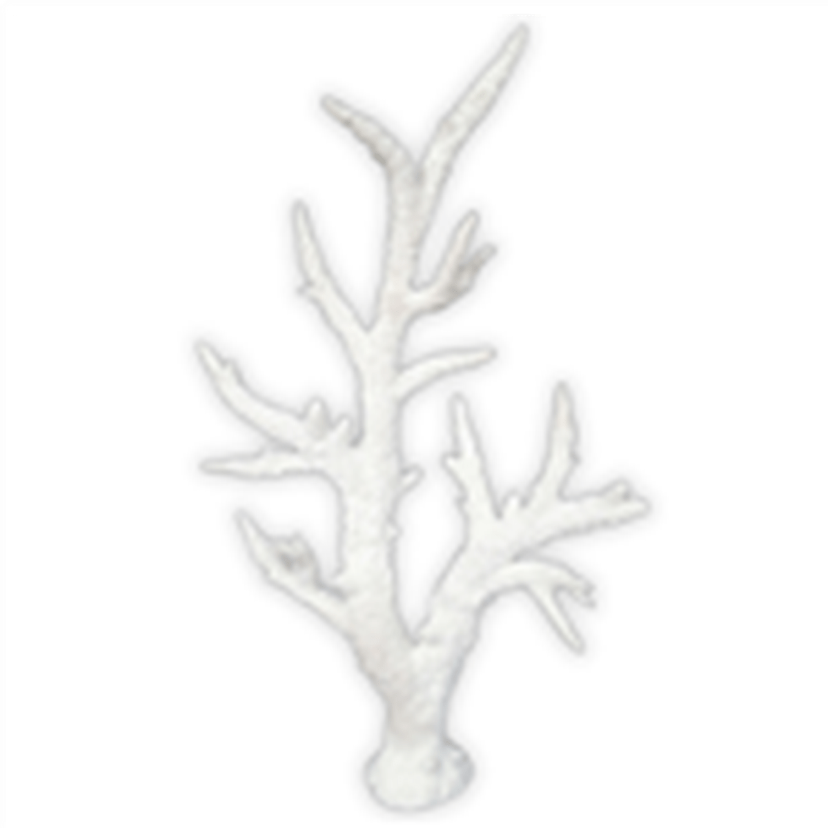 Weco Staghorn Tall White - Medium Weco