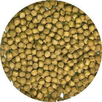 Zoo Med Aquatic Turtle Food – Maintenance Formula ZooMed