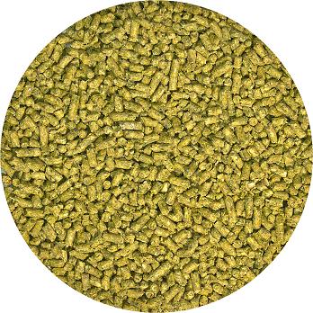 Zoo Med Bearded Dragon Food – Juvenile Formula Zoo-Med