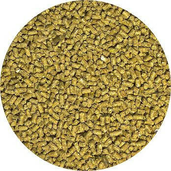 Zoo Med Bearded Dragon Food – Adult Formula.