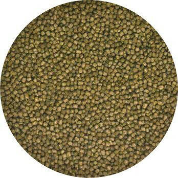 Zoo Med Aquatic Turtle Food – Hatchling Formula.