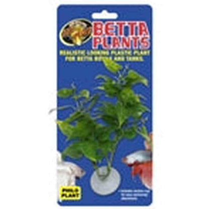 ZooMed Betta Plant - Philo ZooMed