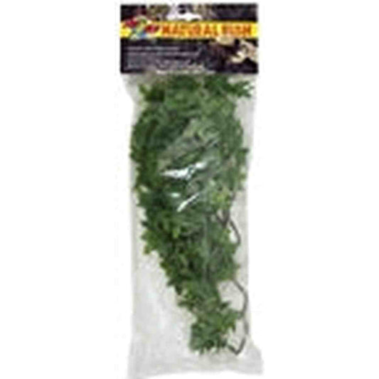 ZooMed Medium Congo Ivy ZooMed