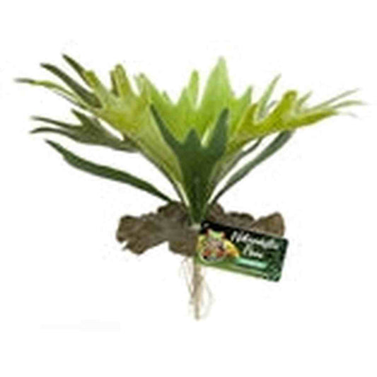 ZooMed Naturalistic Flora Staghorn Fern ZooMed