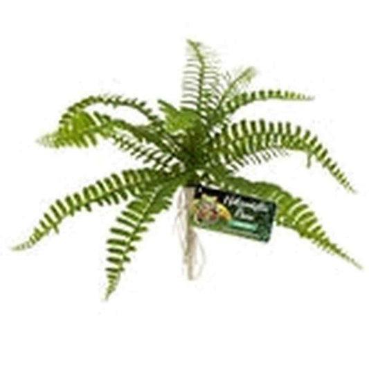 ZooMed Naturalistic Flora Sword Fern ZooMed