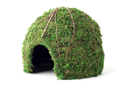 Galapagos Mossy Dome Terrarium Hideaway