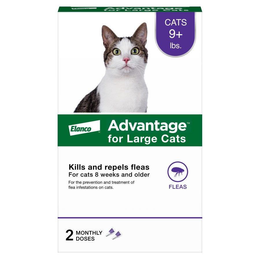 Elanco Advantage Topical Flea Treatment for Cats