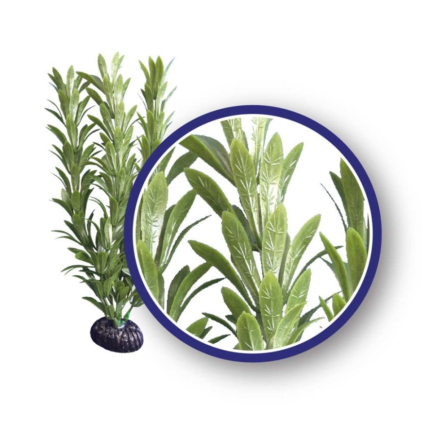 Weco Products Freshwater Series Anacharis Aquarium Plant