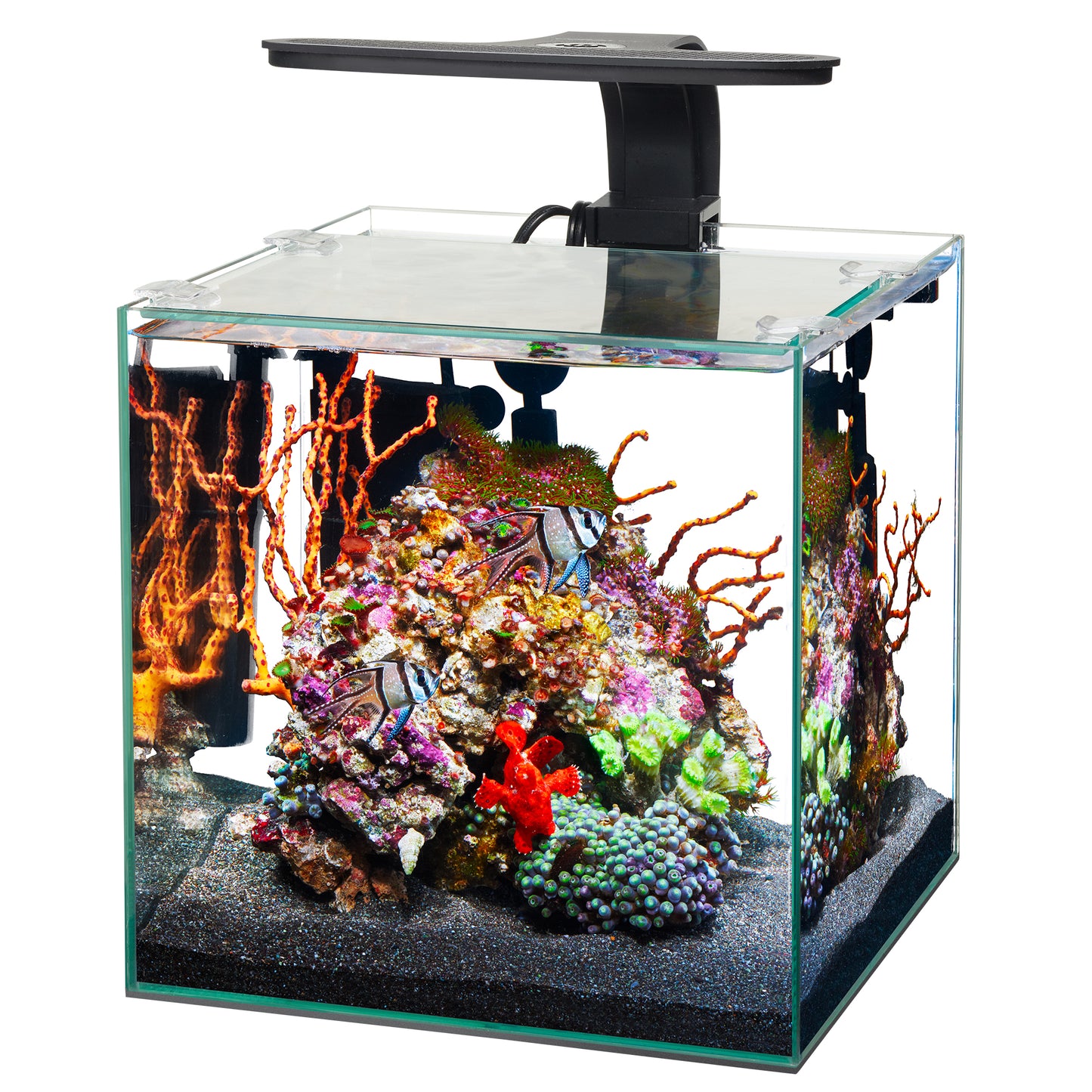 Aqueon Frameless Cube Aquarium - 3