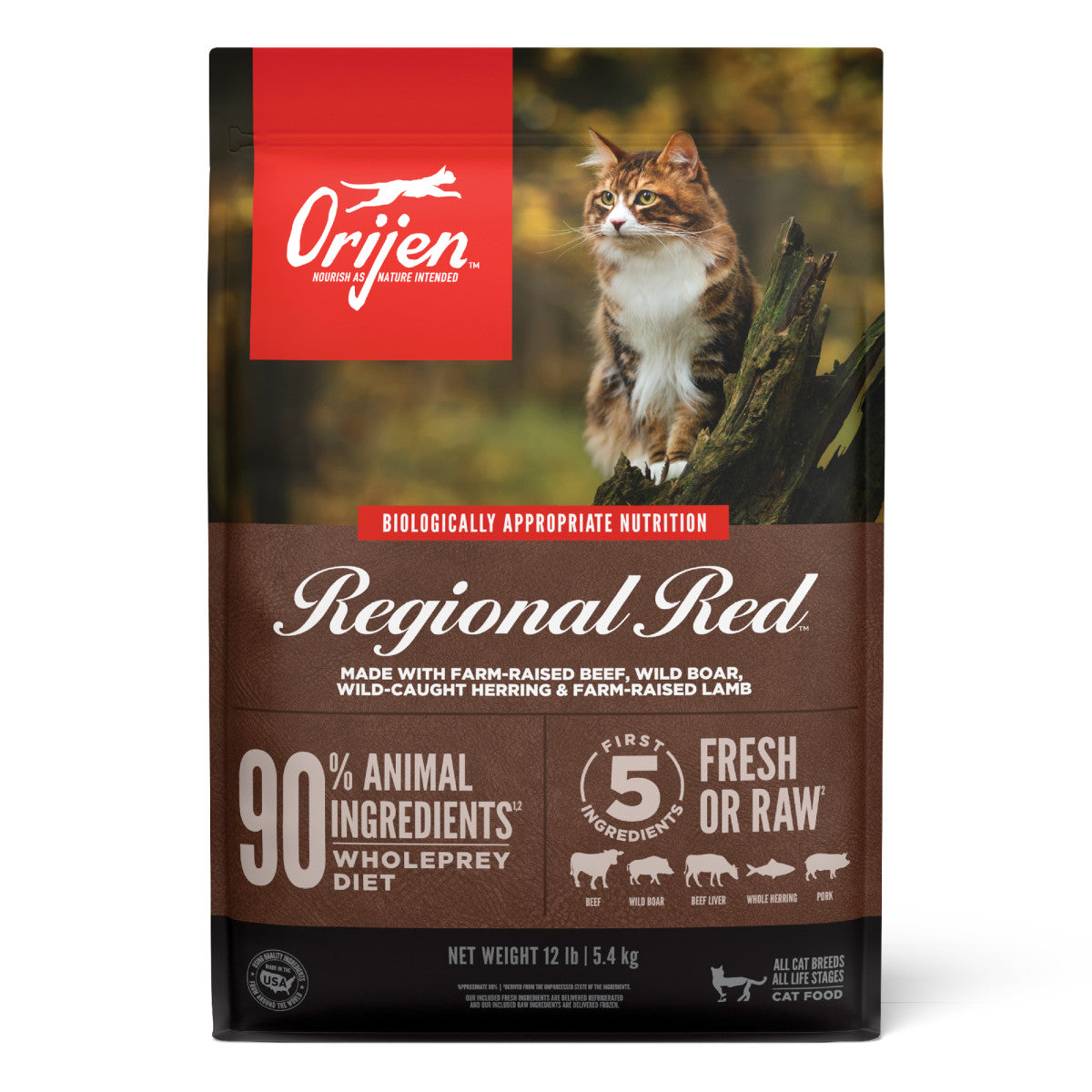 Orijen Regional Red Grain and Poultry Free Fresh or Raw Dry Cat Food
