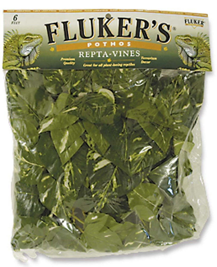 Fluker's Pothos Repta-Vines