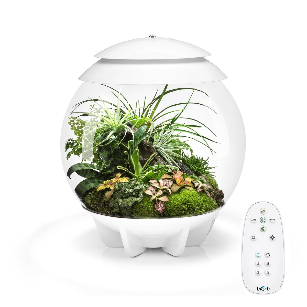 biOrb AIR 30 LED Terrarium - WHITE