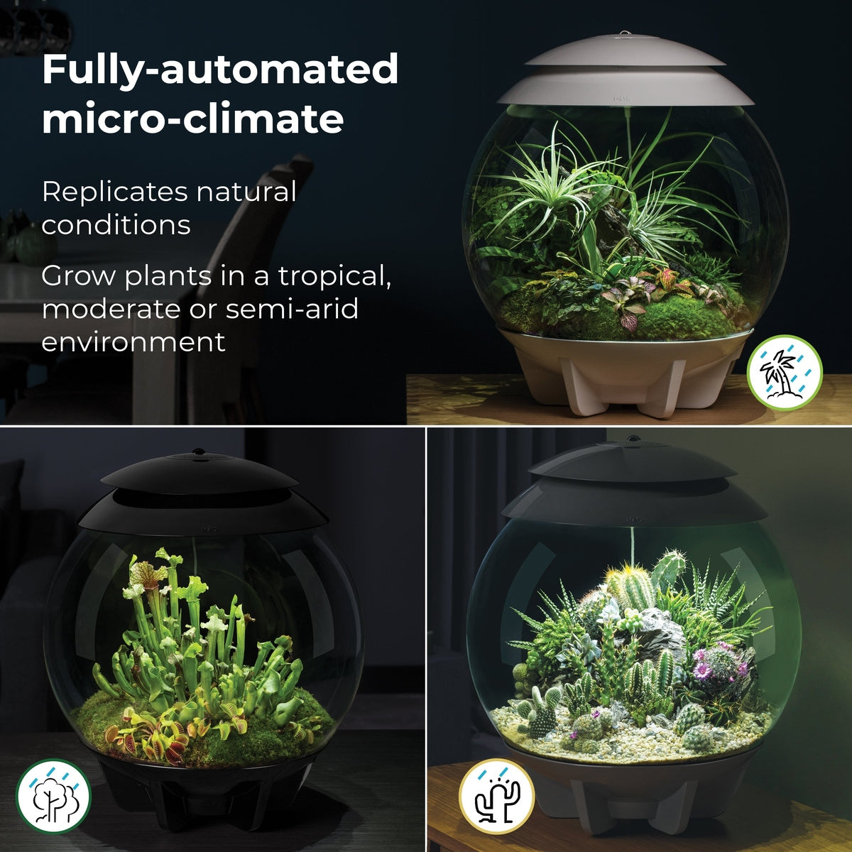 biOrb AIR 30 LED Terrarium - WHITE