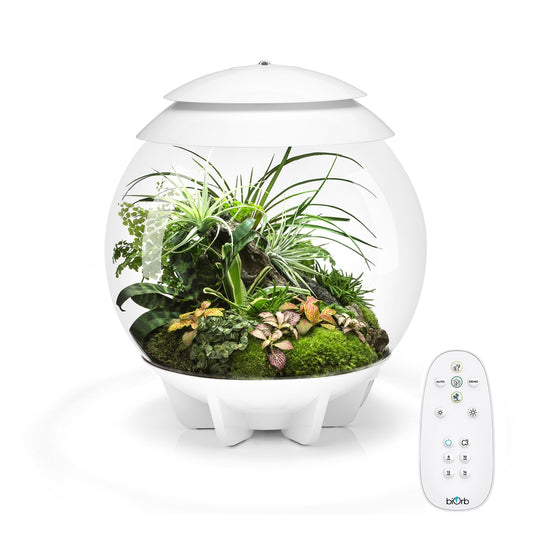 biOrb AIR 30 LED Terrarium - WHITE BiOrb