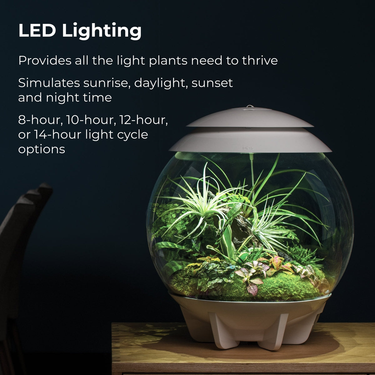 biOrb AIR 30 LED Terrarium - WHITE BiOrb