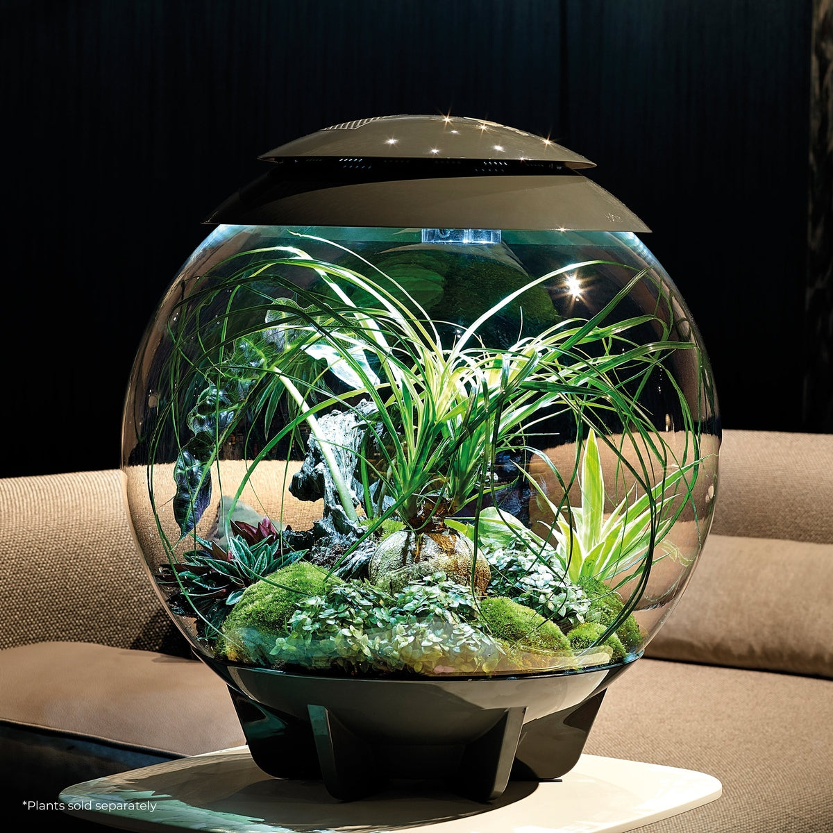 biOrb AIR 60 LED Terrarium - WHITE