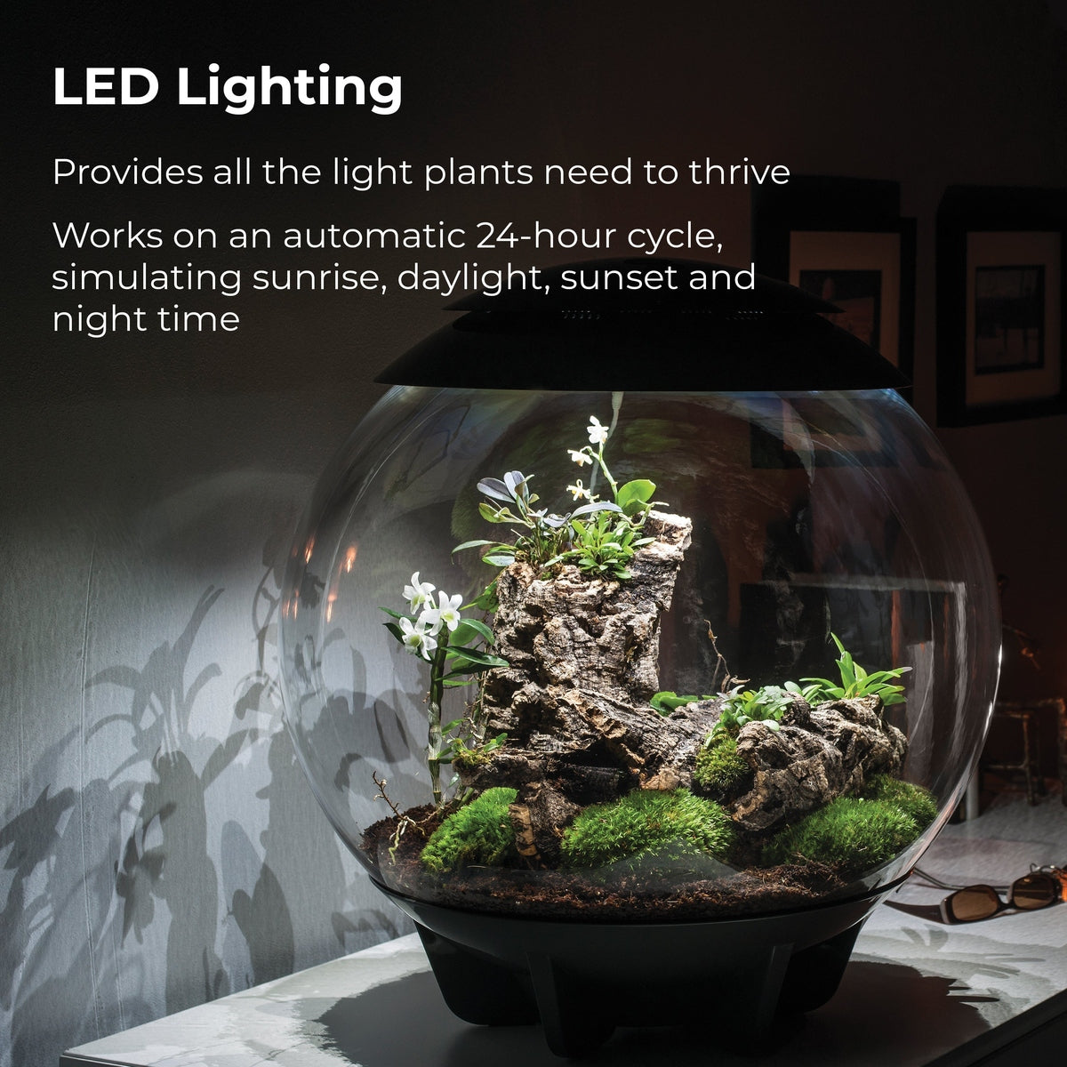 biOrb AIR 60 LED Terrarium - WHITE