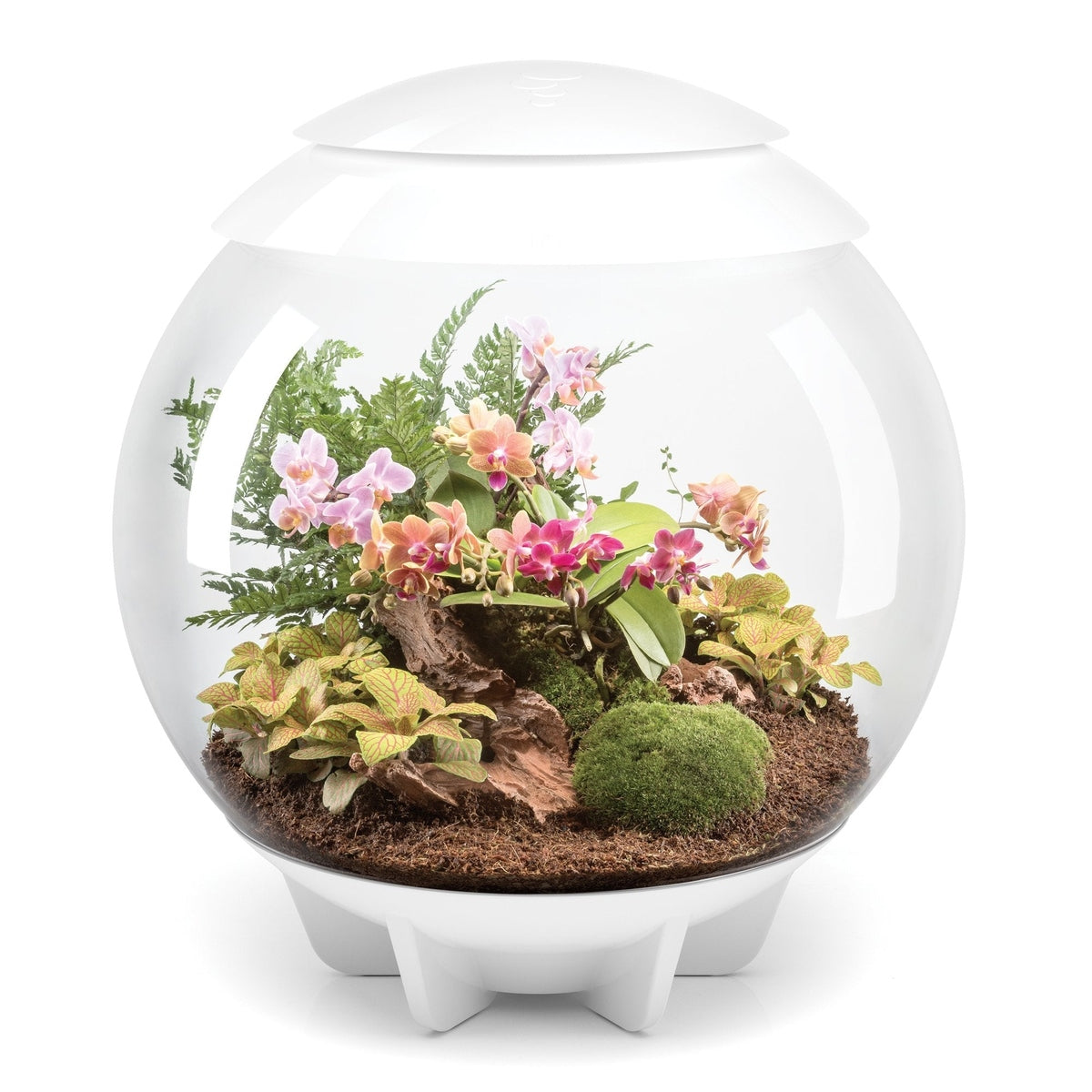 biOrb AIR 60 LED Terrarium - WHITE