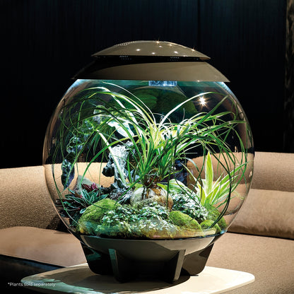 biOrb AIR 60 LED Terrarium - WHITE BiOrb