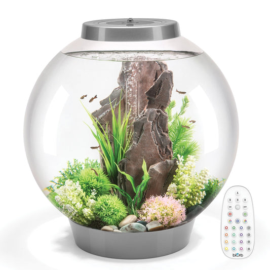 biOrb CLASSIC 60 w/ MCR LED - SILVER - 16 Gallon