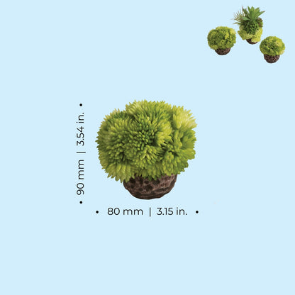 biOrb Coral Ball Set BiOrb