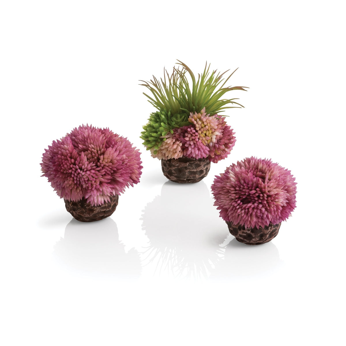 biOrb Coral Ball Set of 3