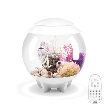 biOrb HALO 15 Aquarium with MCR Light - 4 gallon BiOrb
