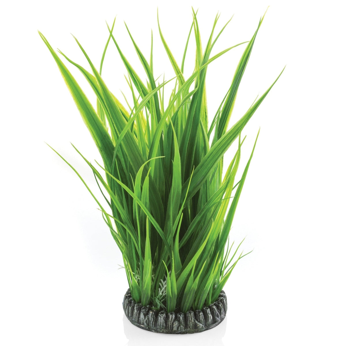 biOrb Large Grass Ring BiOrb