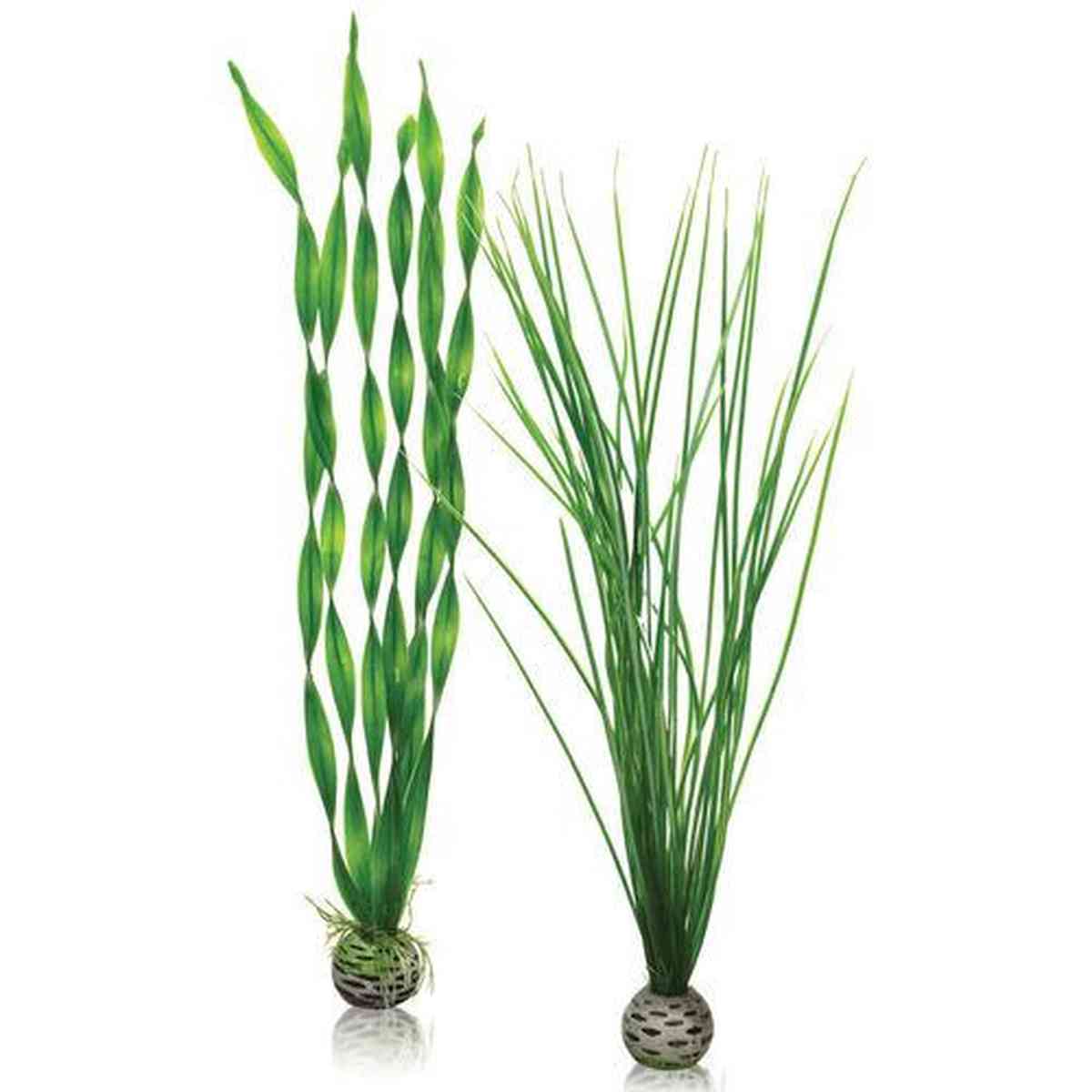 biOrb Large Green Plant Set