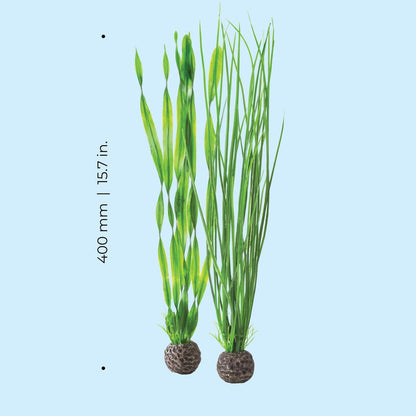 biOrb Large Green Plant Set