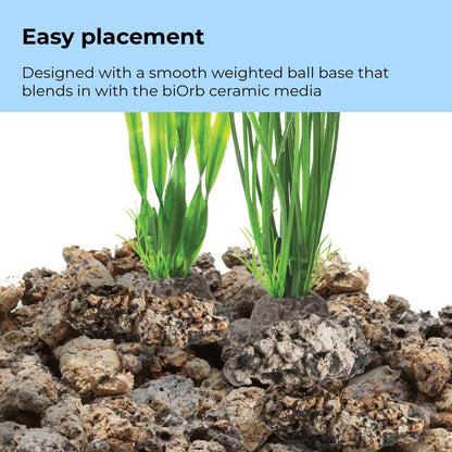 biOrb Large Green Plant Set BiOrb