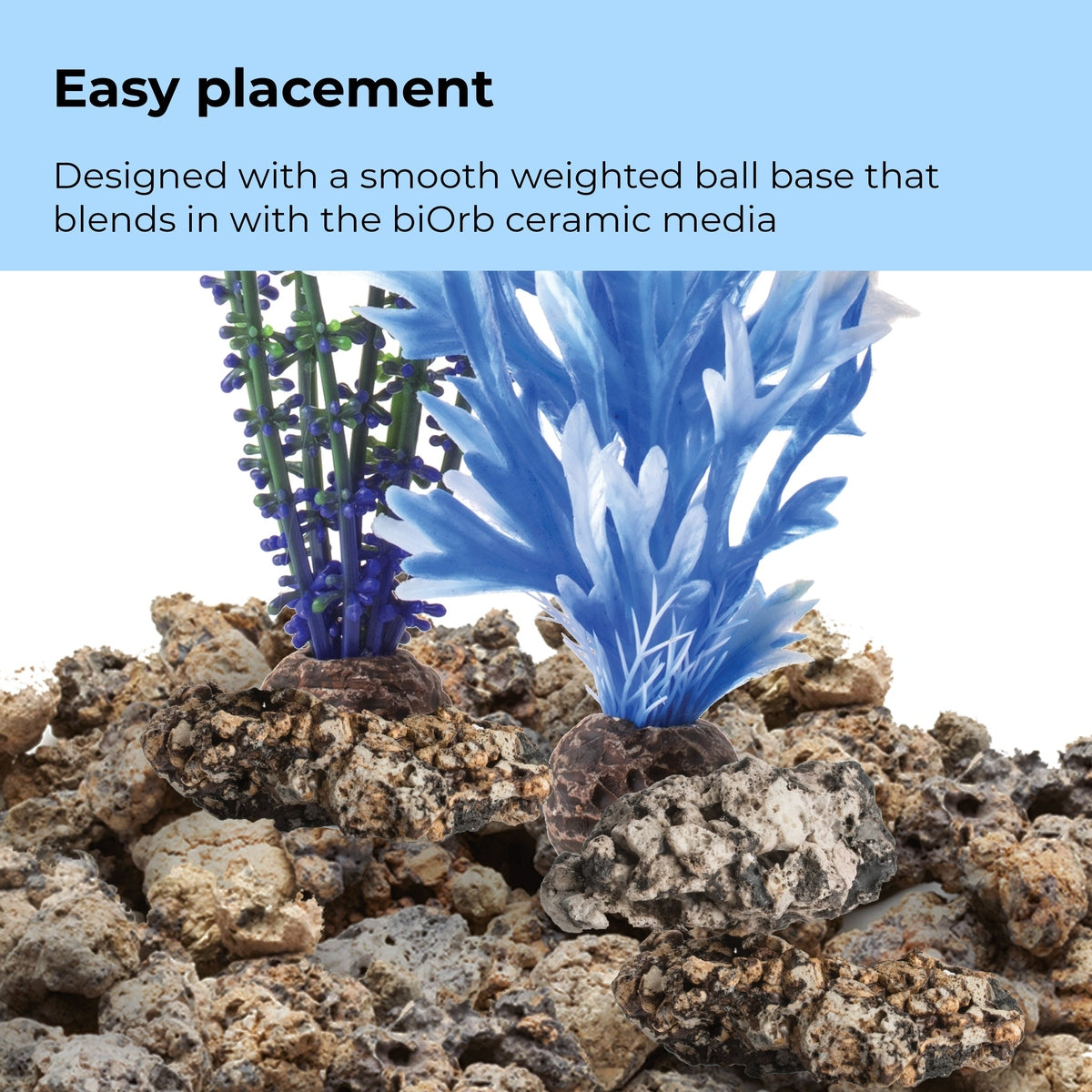 biOrb Medium Blue & Purple Plant Set