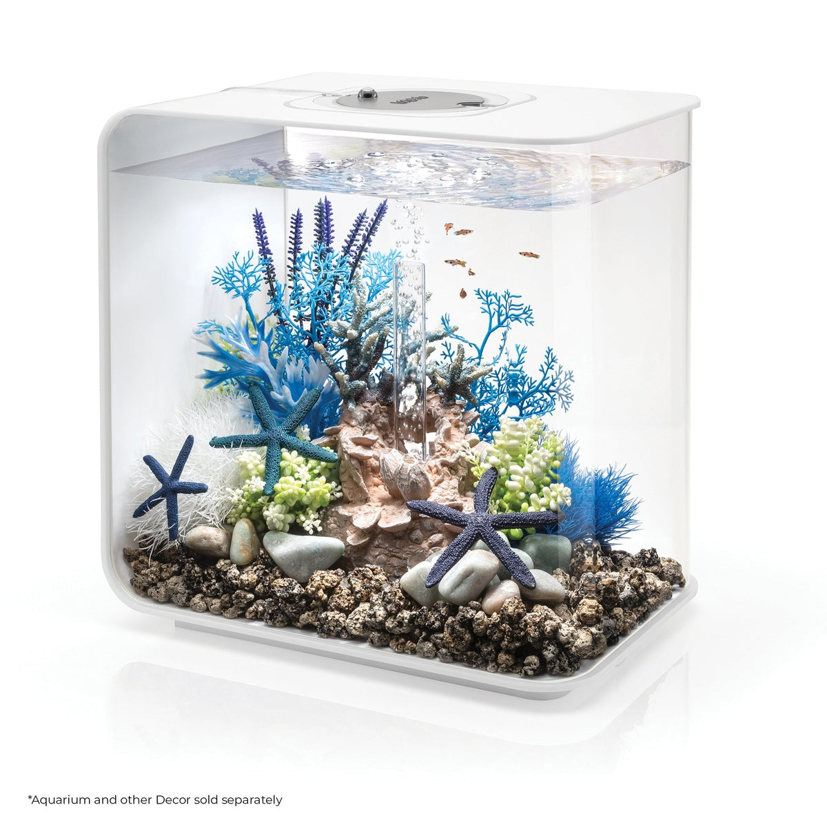 biOrb Medium Blue & Purple Plant Set BiOrb