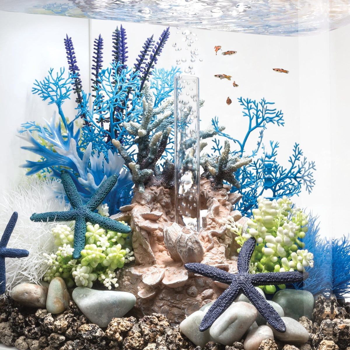 biOrb Medium Blue & Purple Plant Set BiOrb